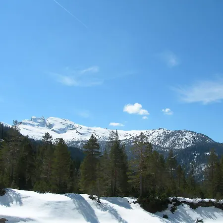 Vajolet